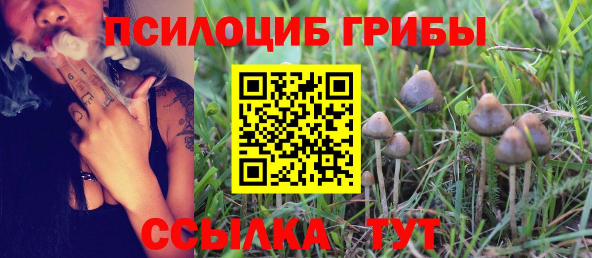 сколько стоит  Вход с VPN  Нерюнгри  Псилоцибиновые грибы Magic Shrooms 