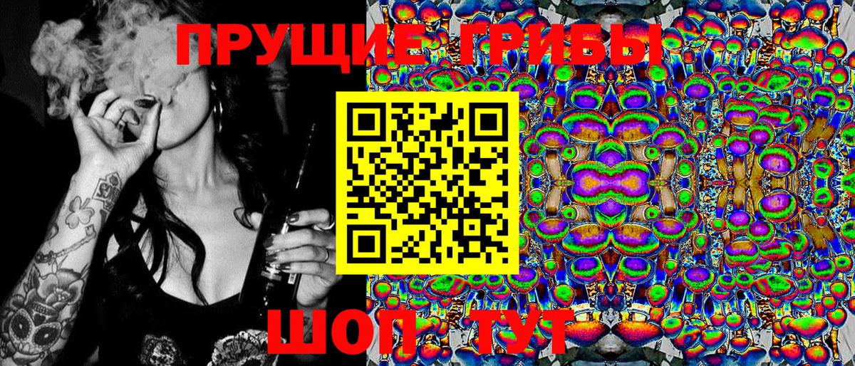 Галлюциногенные грибы Psilocybine cubensis Нерюнгри